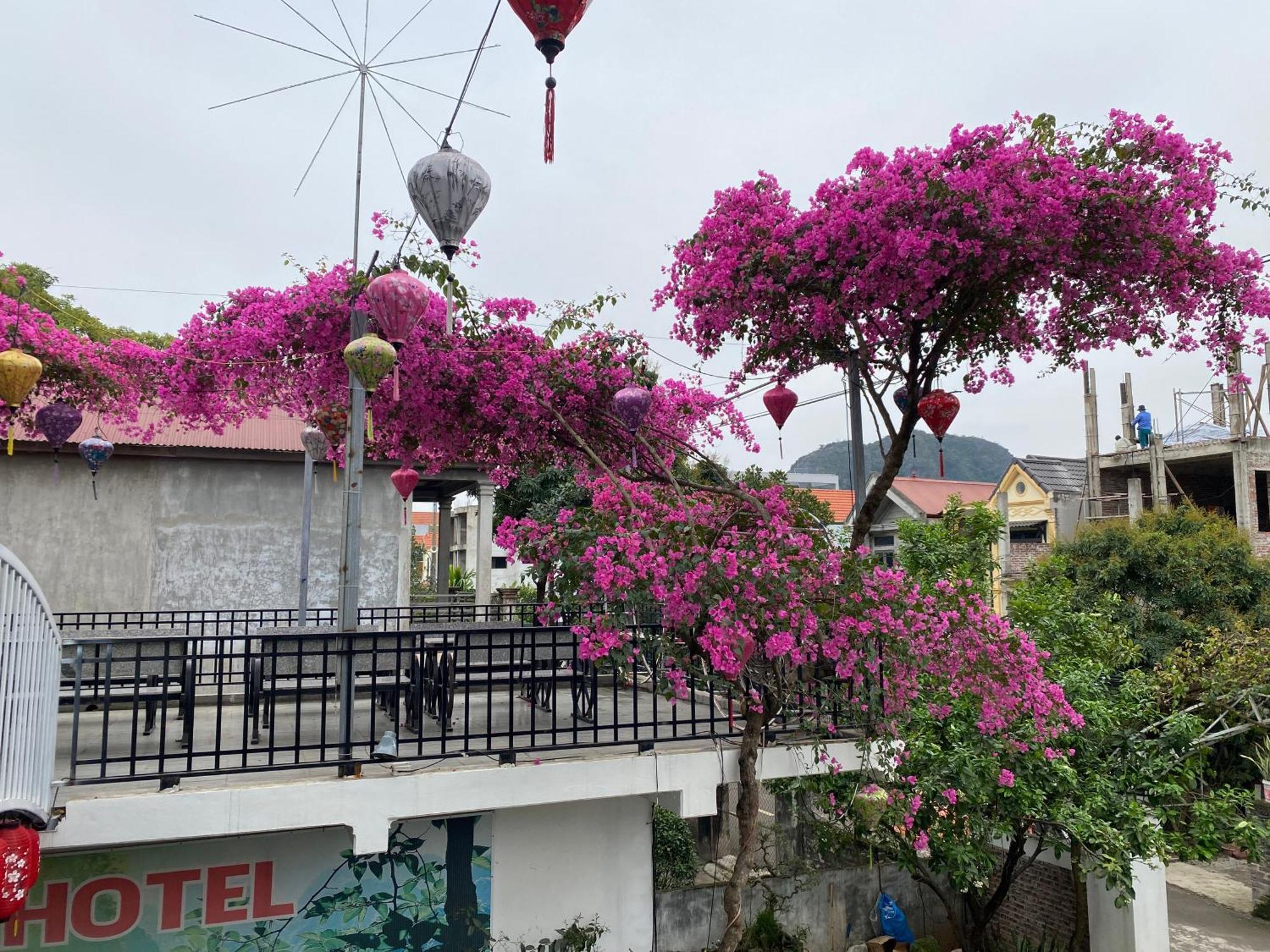 Elizabeth Hotel Tam Coc Ninh Binh Exterior photo